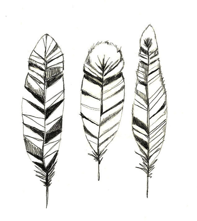Feathers Print of Original Drawing  - Feather Art - corelladesign