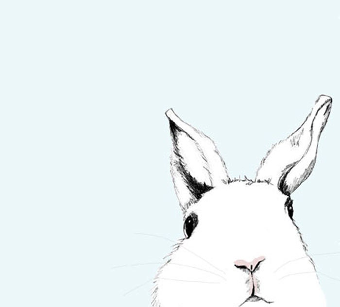 White Rabbit Art Print - Where's Alice - Rabbit Art