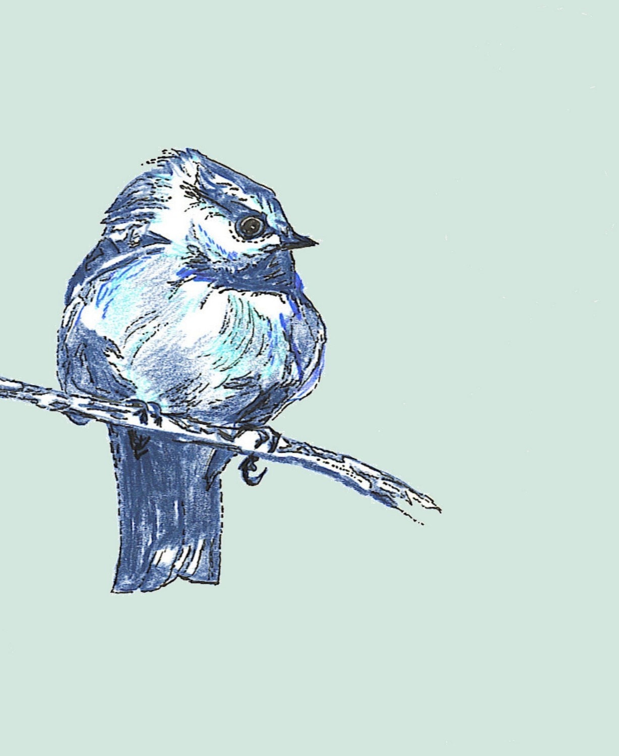 Bird Drawing - New Blue Bird - Bird Wall Decor