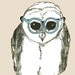 Owl Illustration - New Glasses For School