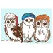 Owl Art  - Large Print  - Owls Love Hats