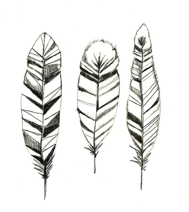 Feathers Print of Original Drawing - Feather Art