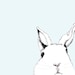 White Rabbit Art Print - Where's Alice - Rabbit Art