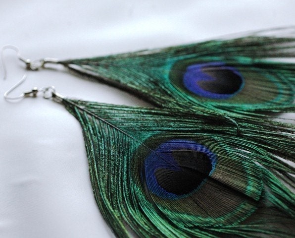 Flowing Peacock Feather Earrings