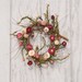 Reserved - Spring Wreath - Mulberry Twigs and Strawflowers FIRST BLUSH of SPRING