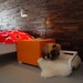 Indoor Dog House/Bedside Table