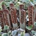 handsculpted clay garden stake herb, veggie, flower or fruit markers