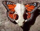 Dia De Los Muertos Barrette in Orange