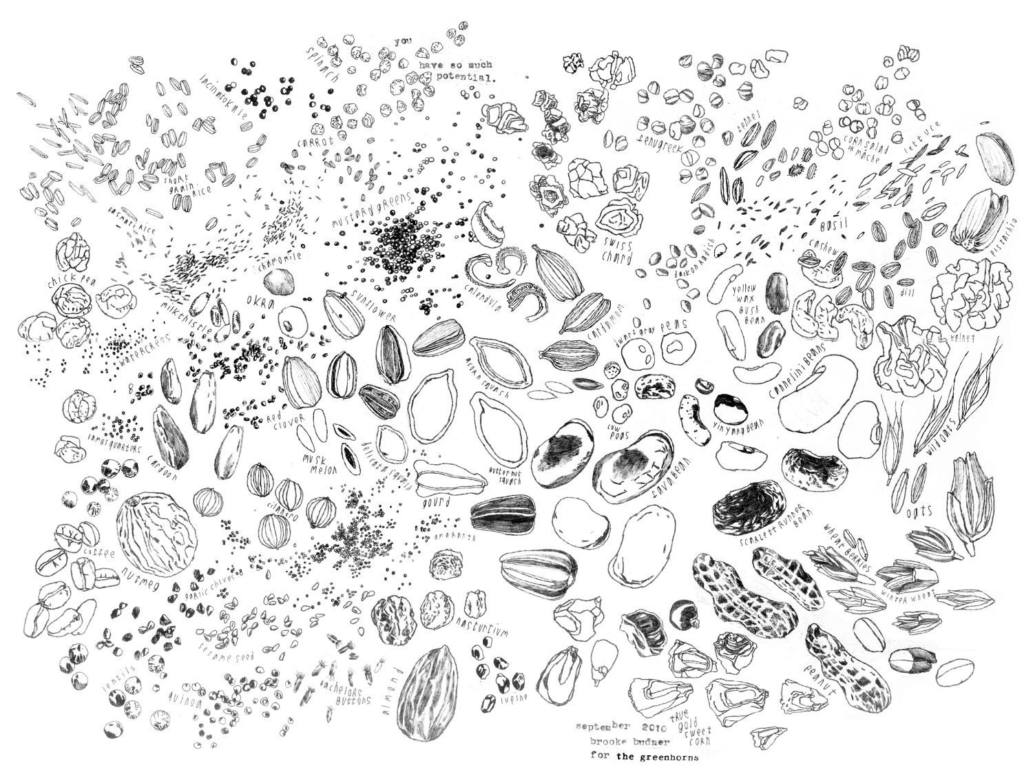You have so much potential Seed Poster