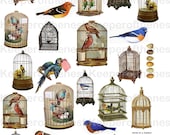 Birds and Bird Cages Digital Collage Sheet ACEO ATC Mixed Media