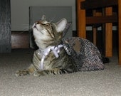 Kitty Wizard