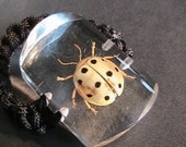 Large Dot Leaf Beetle Ring - Ooak - ReAL iNsEctS -