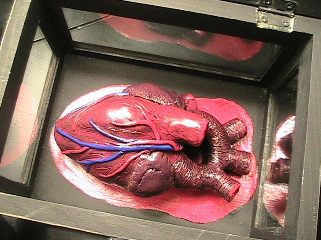 I Give You My Heart... Anatomical Heart in a Box - Original Design -Heart-Felt Gift Idea