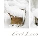 Snow on Garden Chairs. White Winter Cushions For a  Cool Lounge. Wicker Chair, Teak & Black Iron. Soft Grays, Warm Naturals. Print 12x16