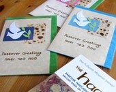 Passover Greetings Cards - Pack of 3
