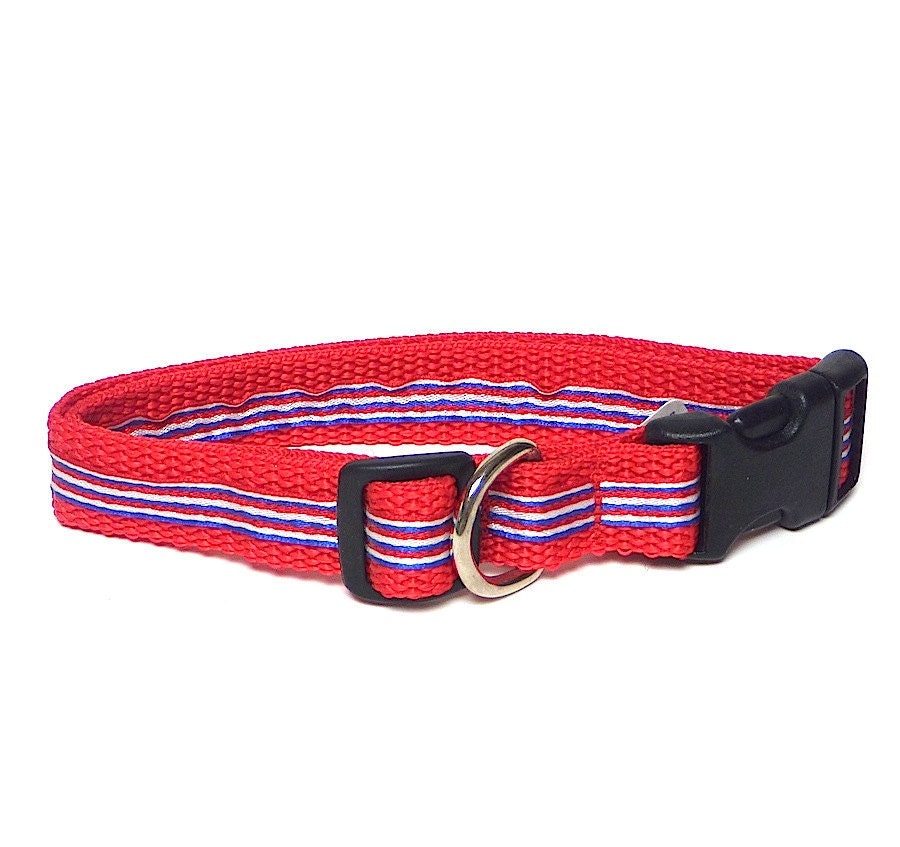 PATRIOTIC Red White and Blue Stripes Dog Tag Buckle Collar