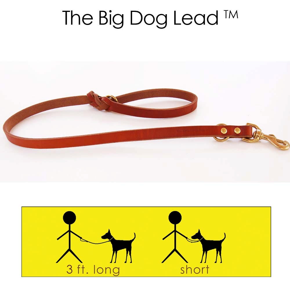 Big Dog Lead --3 foot lead and traffic lead in one--TAN