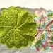 RESERVED FOR scrappyrat - Dish Cloth of the Month Club
