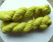 hand dyed lamb's pride bulky - greenish yellow