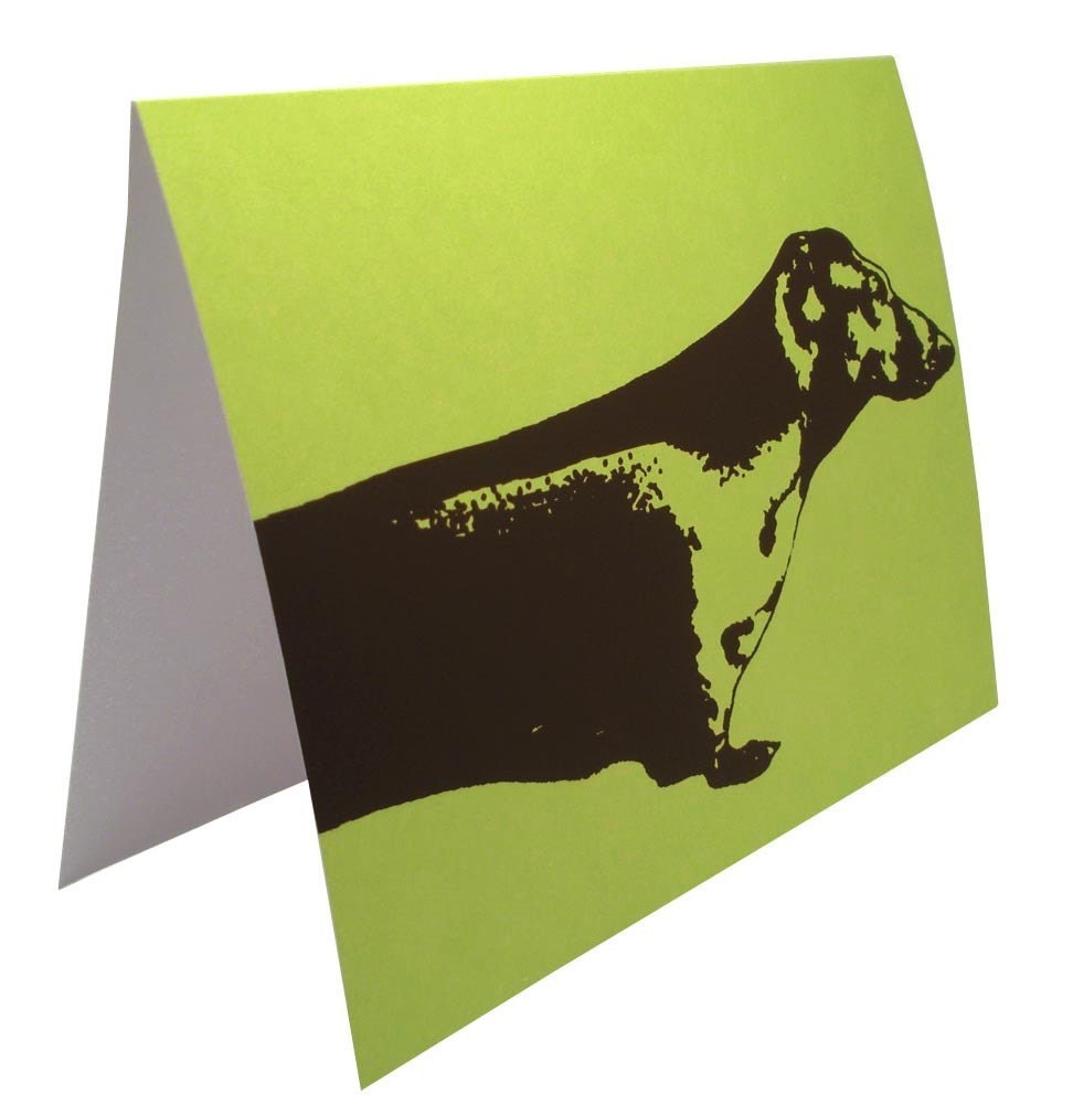 Dachshund -- Blank Lime Green Card