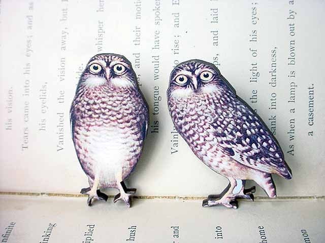 Owl Brooch Set Woodland Pin Vintage Illustration Forest Natural History - Under 15 - Stocking Stuffer - Free shipping