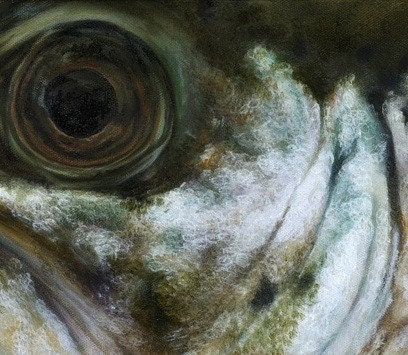 Rainbow Fry Limited Edition Print