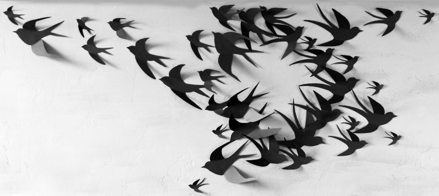 80 3D Bird Wall Art Circle Burst