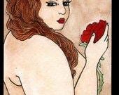 Rose for a Lady