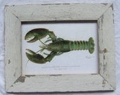 Coastal Sea Life Wildlife Print Recycled Wood Frame  SEA 8