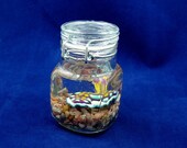 Pseudoceros Lindae Mini Perma-Pet - Original Sea Slug Sculpture