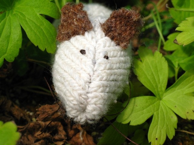 darn socks upcycled wool sock cat toy