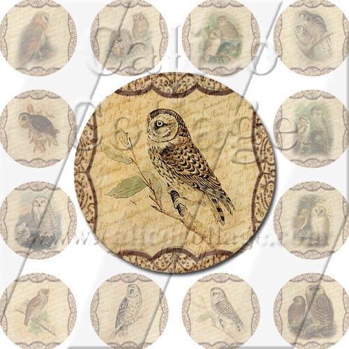 Old World Owls (2) - Instant Download Printable Digital Collage Sheet - 1.5 Inch Circle Rounds 664