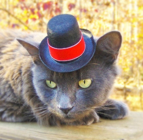 Festive Elegant Cat (Dog) Hat