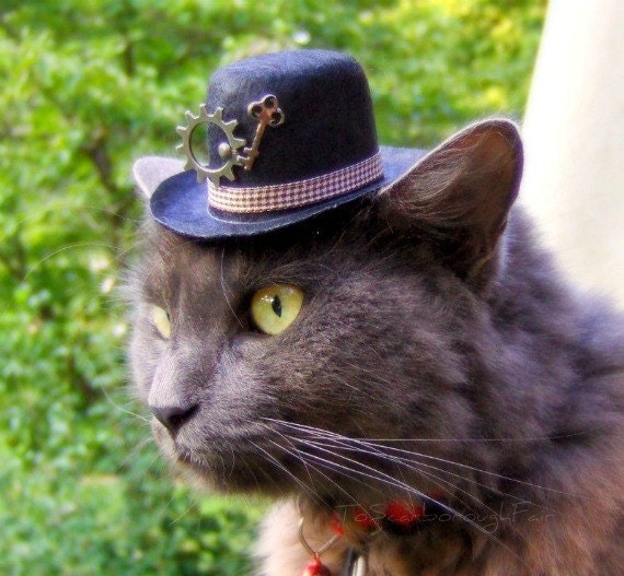 Cat or Dog Hat - Steampunk - Mysterious Victorian Scientist