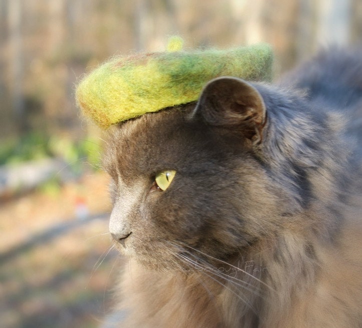 Camo Cat - Mini Camouflage Wool Felted Beret