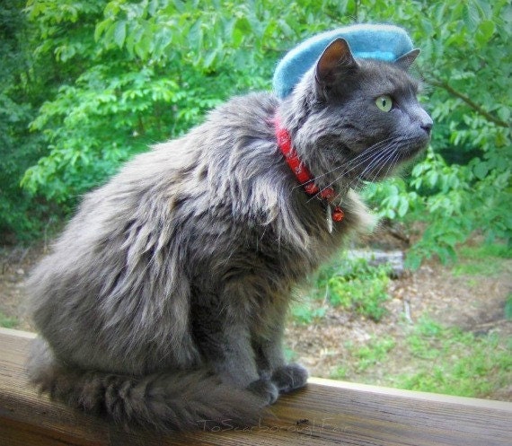 Cat French Beret - Wool Hand Felted Mini Beret for Pets