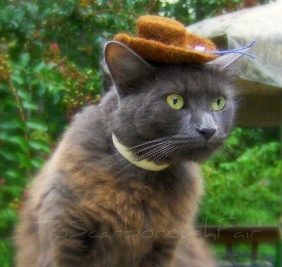 Cowboy Cat Hat - Brown Felted Mini Hat