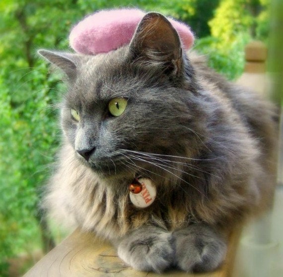 Pink French Beret for Cats or Dogs - Hand Felted Wool French Beret