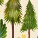 Fresh Woods- 8x10 print - vertical