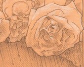 Cloud Roses - Original Art - Drawing - 5 x 7 - Graphite Drawing - Floral Illustration
