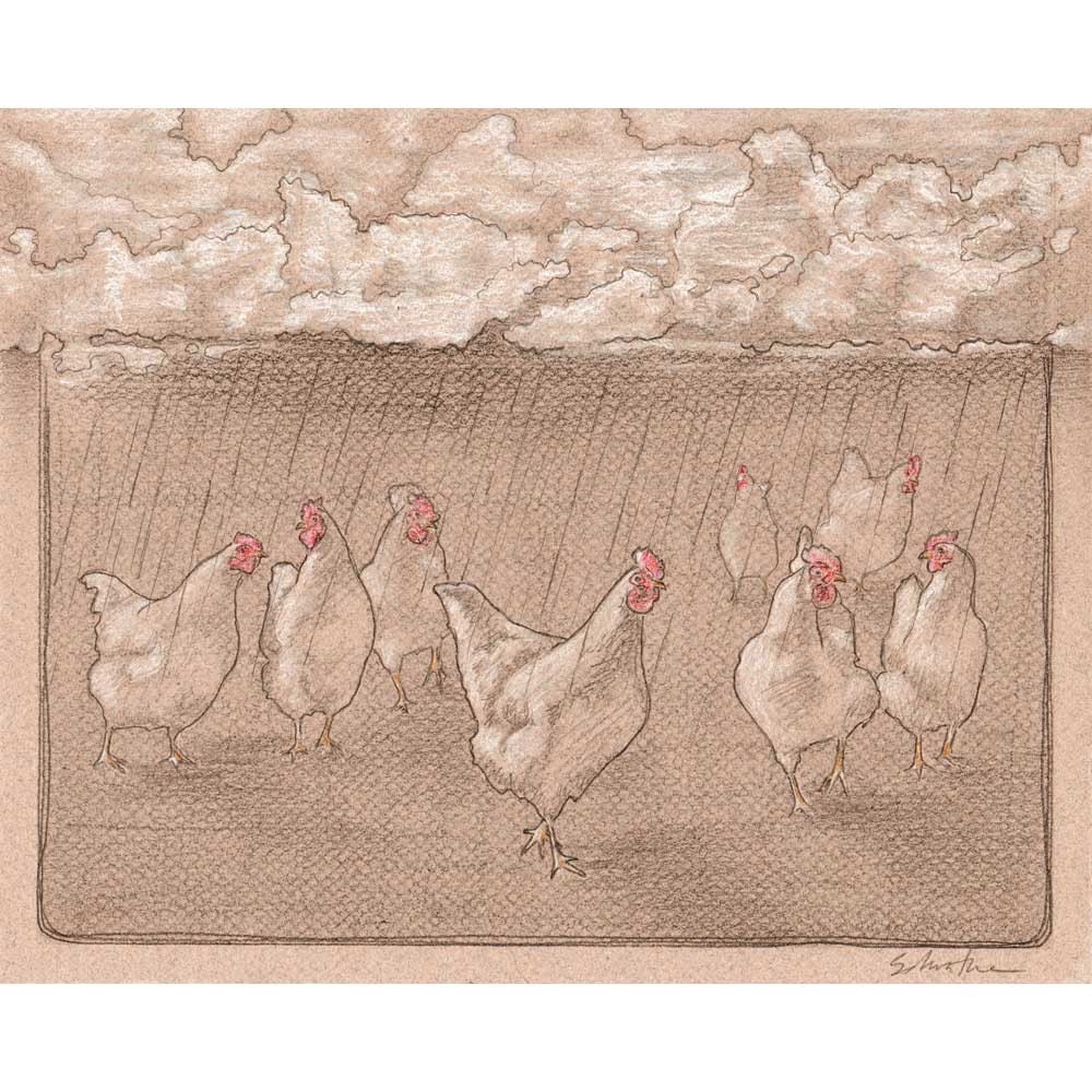 Rainy Day Chickens - Original Art - Pencil Illustration - 8 x 10 - Drawing