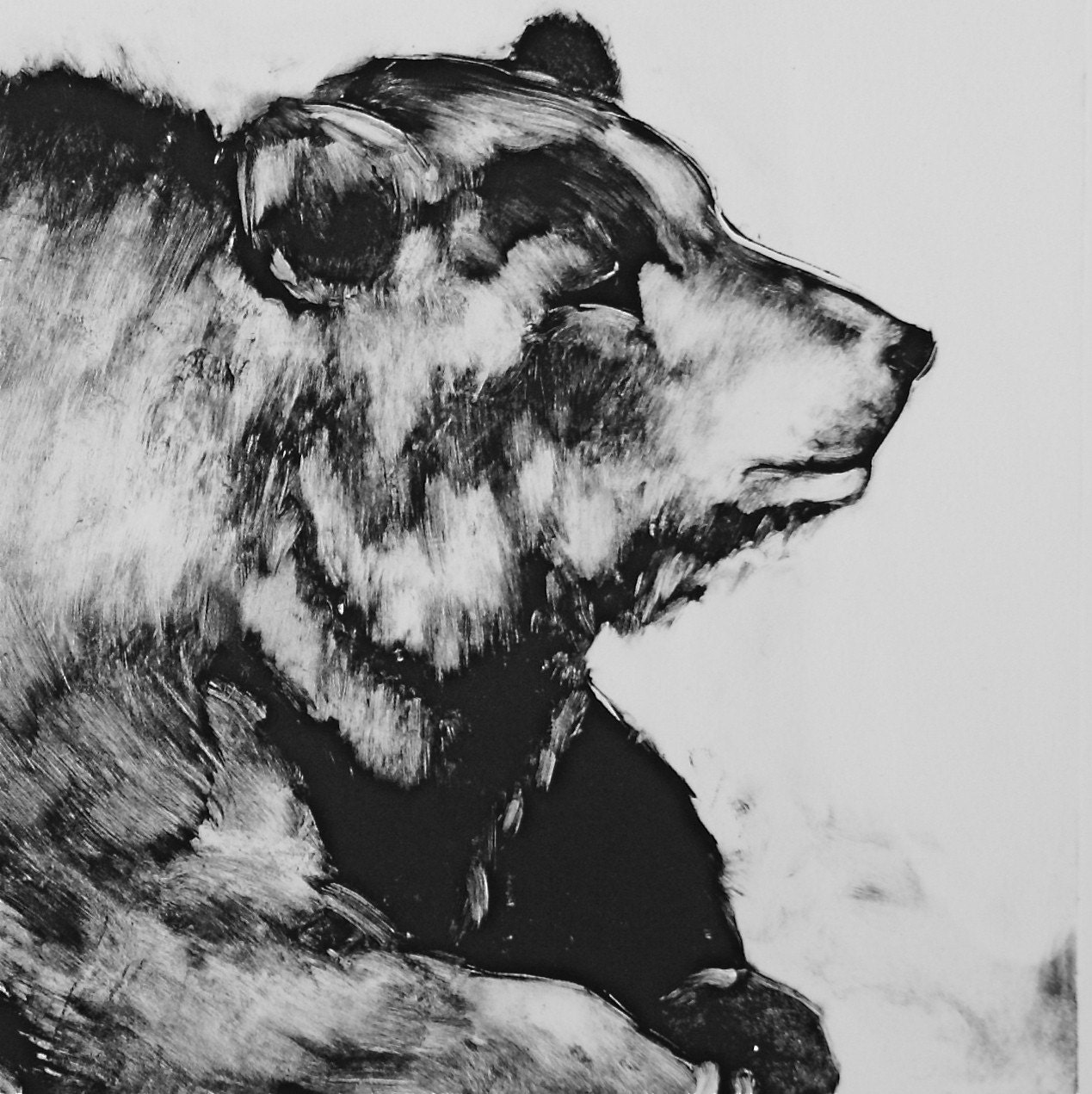 Grizzly bear wildlife nature wall art OOAK Original monotype handpulled print