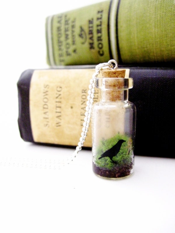Raven Terrarium Necklace Pendant - Miniature Black Bird American Crow Jewelry with Sterling Silver Chain