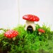 The Toadstool's Secret Home For Your Terrarium