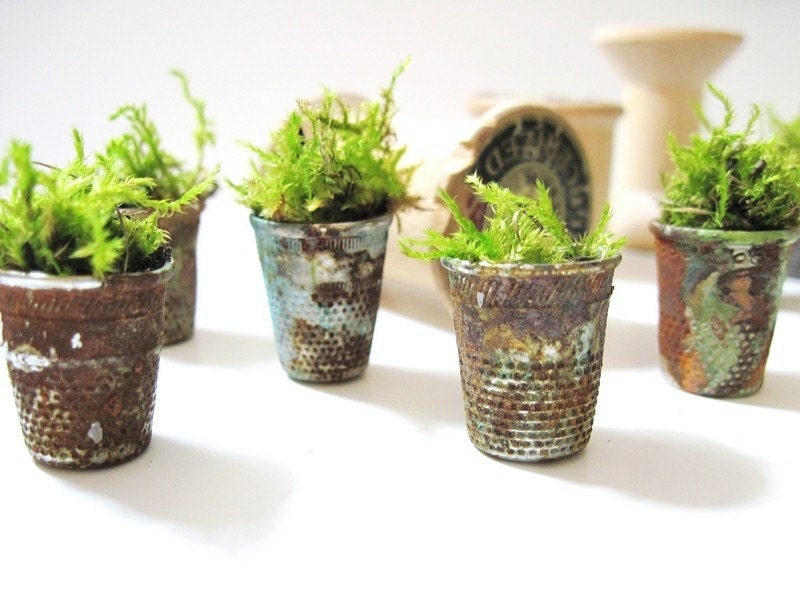 Set of 4 Vintage Thimble Planters with Live Moss