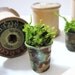 Thimbelina's Miniature Garden - Vintage Sewing Thimble Planter