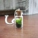Plant Terrarium Charm for Necklaces, Bracelets, or Keychains