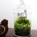 The Garden Gate Vintage Glass Terrarium