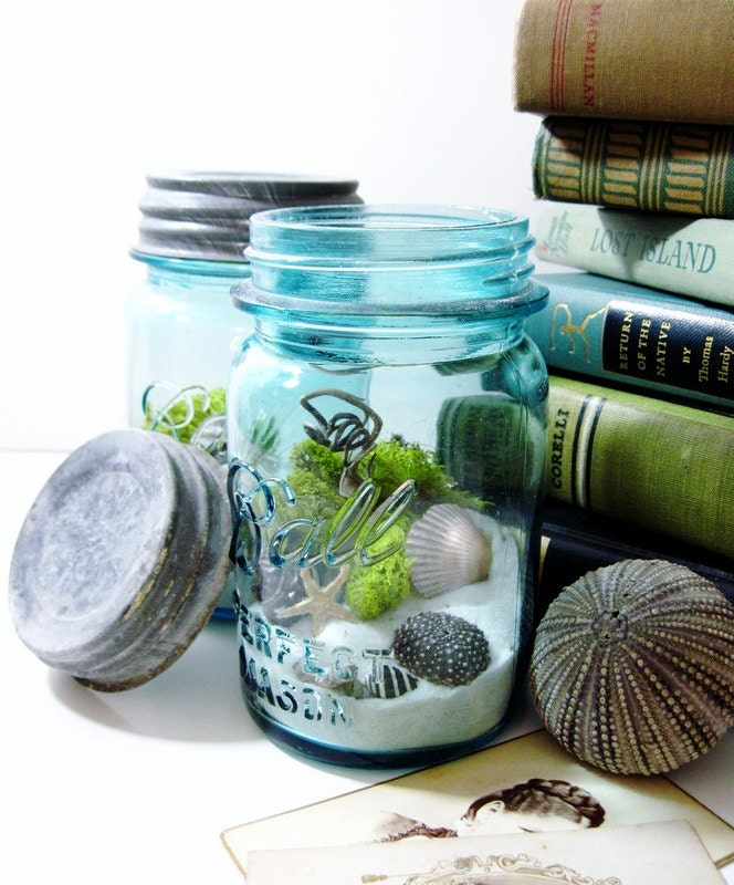 Antique Mason Jar Terrarium: My Beach Wedding