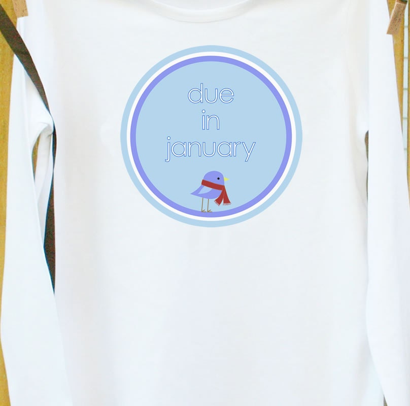 Due in January little birdie maternity top LONG sleeve pregnancy or pregnancy announcement shirt